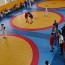 @sambo-mo.ru