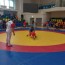 @sambo-mo.ru