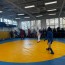 @sambo-mo.ru