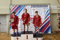 @sambo-mo.ru