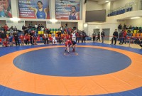 @sambo-mo.ru