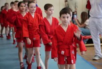 @sambo-mo.ru