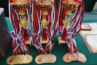 @sambo-mo.ru