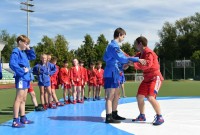 @sambo-mo.ru