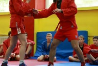 @sambo-mo.ru