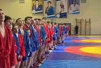 @sambo-mo.ru